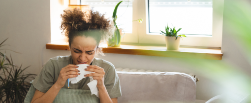 Allergie Inalanti