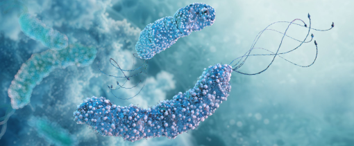 Breath Test Helicobacter Pylori